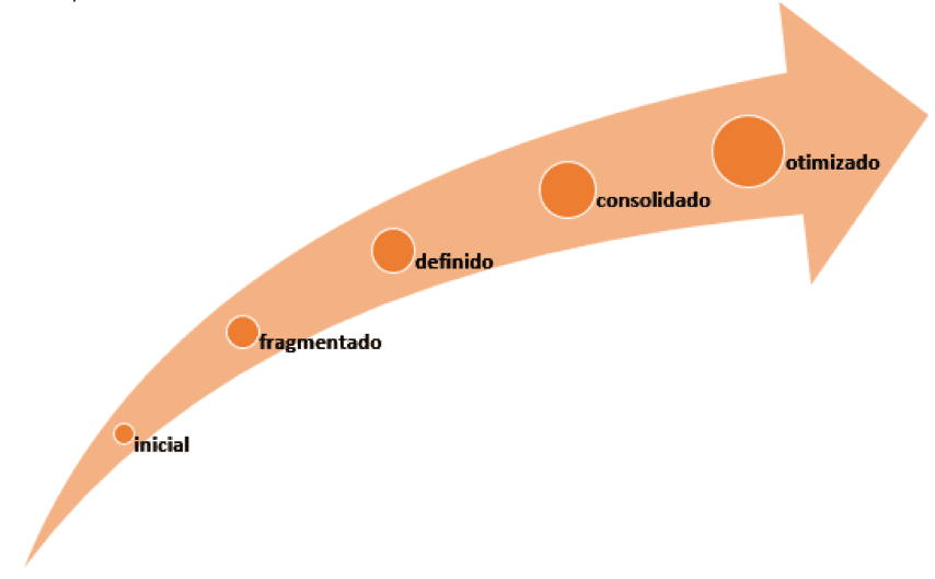 níveis de maturidade_gestaoderisco_vicenzisantiago